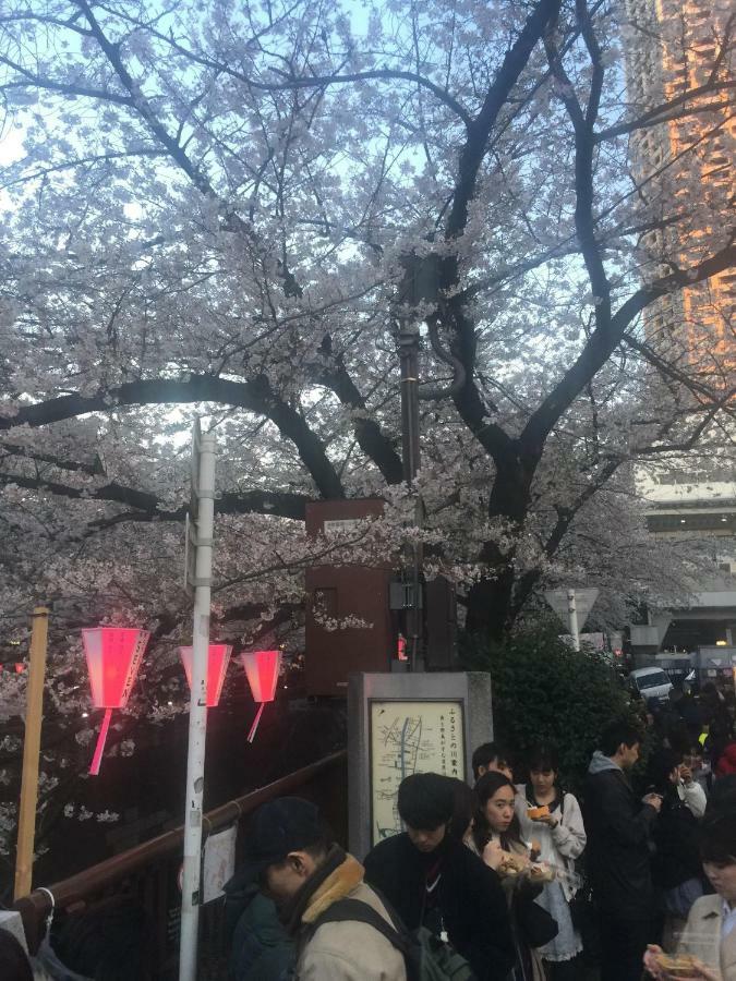 Coco Nakameguro302 Leilighet Tokyo Eksteriør bilde